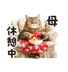 猫ママ 【家族連絡】（個別スタンプ：31）