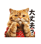 猫ママ 【家族連絡】（個別スタンプ：36）