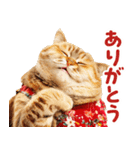 猫ママ 【家族連絡】（個別スタンプ：37）