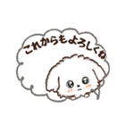 愛犬♡わんこdeご挨拶【吹き出し】（個別スタンプ：20）