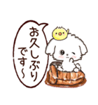 愛犬♡わんこdeご挨拶【吹き出し】（個別スタンプ：23）