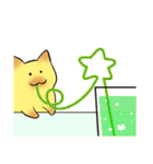 ろ～んぐねこさ～ん（個別スタンプ：31）