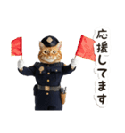 毎日使える♡警察現場ねこ（個別スタンプ：15）