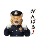 毎日使える♡警察現場ねこ（個別スタンプ：16）