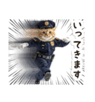 毎日使える♡警察現場ねこ（個別スタンプ：25）