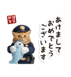 毎日使える♡警察現場ねこ（個別スタンプ：39）