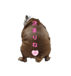 金太郎ちゃん⑨（個別スタンプ：21）