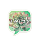 多肉植物好き♪吹き出し【敬語】（個別スタンプ：37）