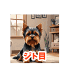 イラスト風気持ち伝えるヨーキースタンプ（個別スタンプ：7）