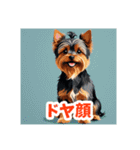 イラスト風気持ち伝えるヨーキースタンプ（個別スタンプ：10）