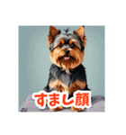 イラスト風気持ち伝えるヨーキースタンプ（個別スタンプ：11）