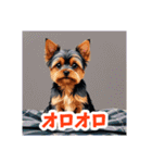 イラスト風気持ち伝えるヨーキースタンプ（個別スタンプ：13）