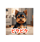 イラスト風気持ち伝えるヨーキースタンプ（個別スタンプ：24）