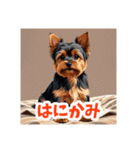 イラスト風気持ち伝えるヨーキースタンプ（個別スタンプ：30）