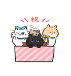 ねこたちといっしょ！（個別スタンプ：17）