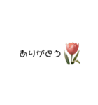 あいさつ×小さなお花（個別スタンプ：1）