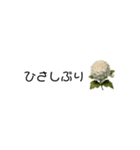 あいさつ×小さなお花（個別スタンプ：14）