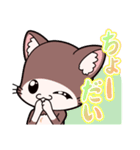 「てぷにゃん日和」猫の日スタンプ（個別スタンプ：16）