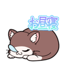 「てぷにゃん日和」猫の日スタンプ（個別スタンプ：18）