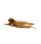 落ちている猫（個別スタンプ：32）