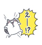 にゃんとも言えん（個別スタンプ：17）