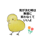 イタズラぴよちゃん（個別スタンプ：1）