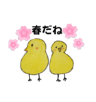 イタズラぴよちゃん（個別スタンプ：6）