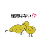 イタズラぴよちゃん（個別スタンプ：12）