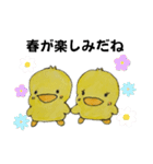 イタズラぴよちゃん（個別スタンプ：16）