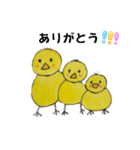 イタズラぴよちゃん（個別スタンプ：33）