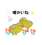 イタズラぴよちゃん（個別スタンプ：40）