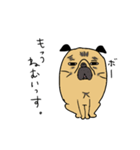 あたちパグのこうめ！！（個別スタンプ：3）