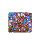 さくらのグリーティングスタンプ（個別スタンプ：17）