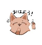 きつねさんのるるんがるんスタンプ（個別スタンプ：1）