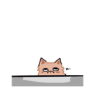 きつねさんのるるんがるんスタンプ（個別スタンプ：22）