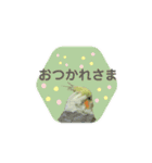 オカメインコきいちゃんの日常会話②（個別スタンプ：13）