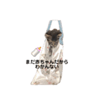 もふねこららぴ（個別スタンプ：2）