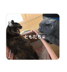 もふねこららぴ（個別スタンプ：10）