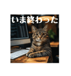 家族との業務連絡をする猫（個別スタンプ：3）