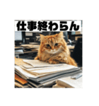 家族との業務連絡をする猫（個別スタンプ：11）