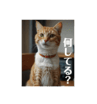 家族との業務連絡をする猫（個別スタンプ：24）