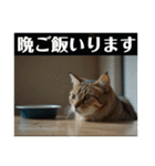 家族との業務連絡をする猫（個別スタンプ：31）