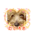 かわいいイヌラテくん（個別スタンプ：2）