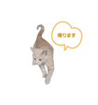 つぶコさちコ（個別スタンプ：6）