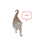 つぶコさちコ（個別スタンプ：7）
