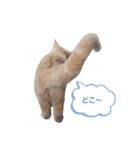 つぶコさちコ（個別スタンプ：9）