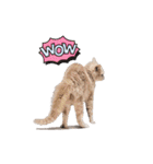 つぶコさちコ（個別スタンプ：13）