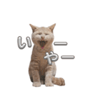 つぶコさちコ（個別スタンプ：14）