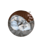 つぶコさちコ（個別スタンプ：31）