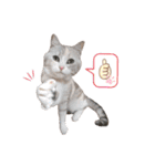 つぶコさちコ（個別スタンプ：38）